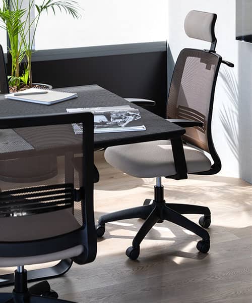 silla mint