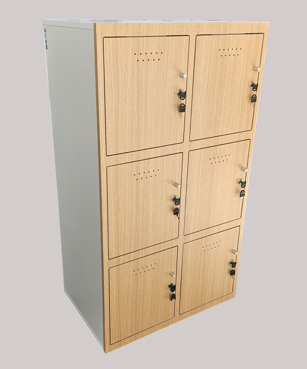 Locker 6 puertas Saw Dust